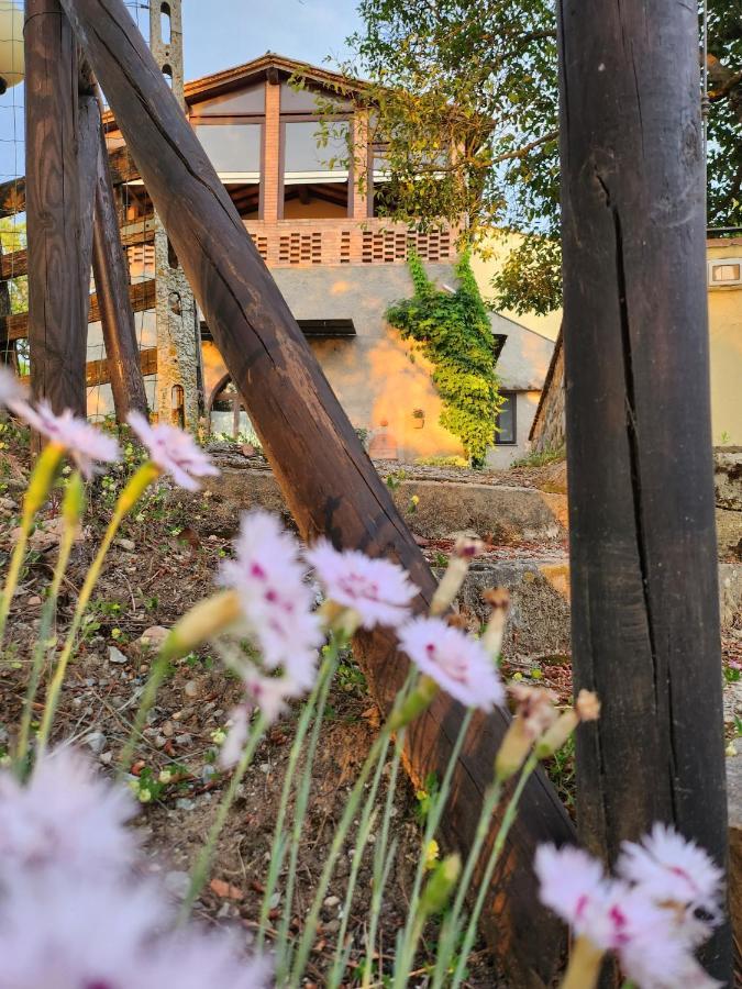 Il Giuggiolo - La Collina Della Quiete Bed & Breakfast Certaldo Eksteriør bilde