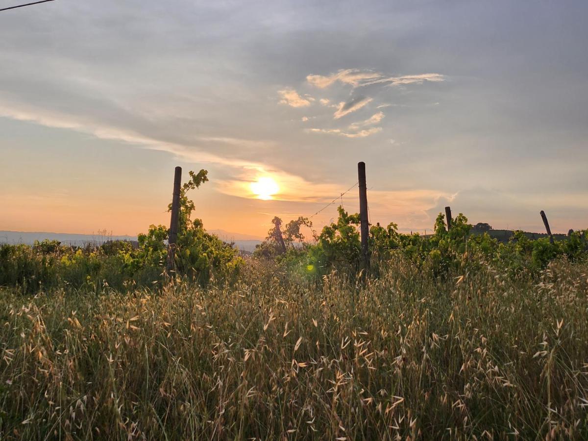 Il Giuggiolo - La Collina Della Quiete Bed & Breakfast Certaldo Eksteriør bilde