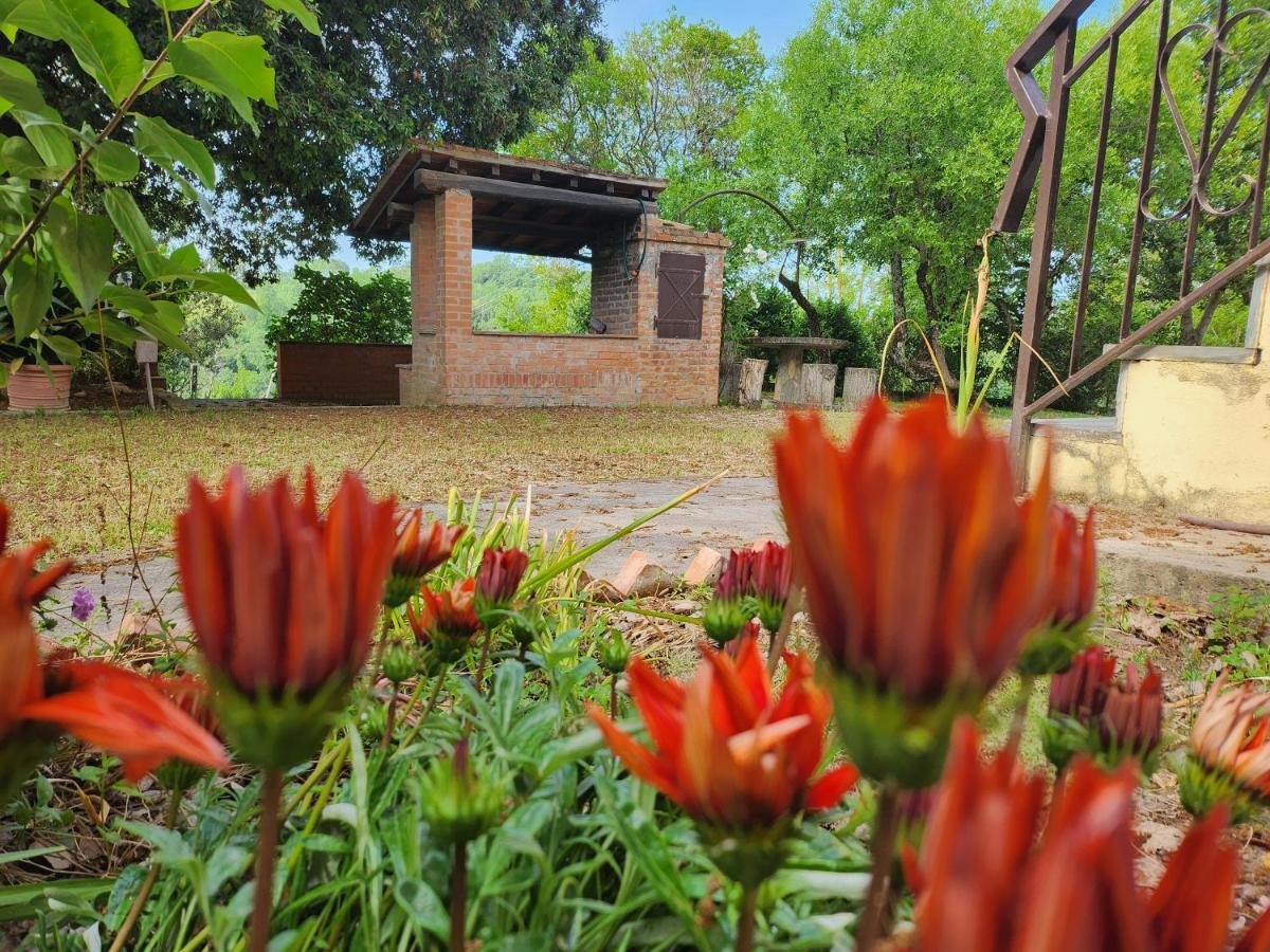 Il Giuggiolo - La Collina Della Quiete Bed & Breakfast Certaldo Eksteriør bilde